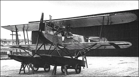 Hansa-Brandenburg W.12