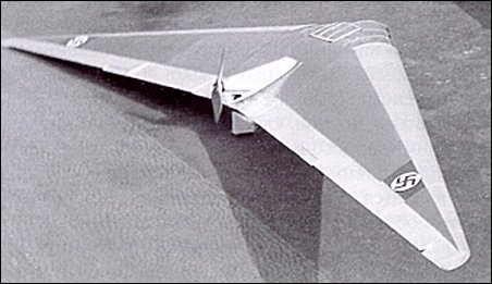 Horten Ho-II Habicht, Ho-IIM