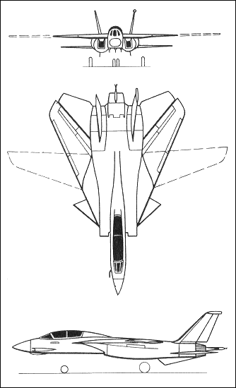 Grumman F-14 Tomcat