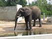 Estonia. Tallinn Zoo