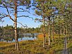 Estonia. Viru Bog Nature Trail