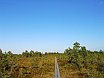 Estonia. Viru Bog Nature Trail