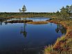 Estonia. Viru Bog Nature Trail