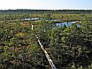 Estonia. Viru Bog Nature Trail